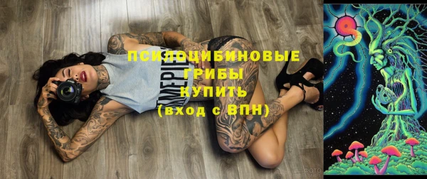 трава Абаза