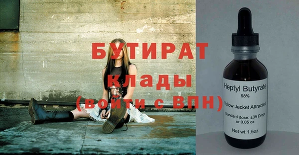 прущие грибы Коряжма