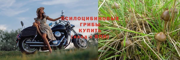 прущий лед Абдулино