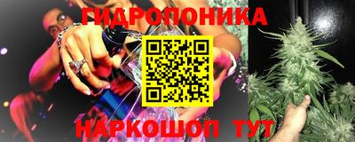 apvp Обь