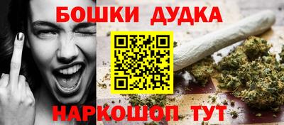 apvp Обь