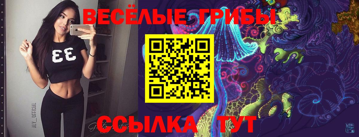 Псилоцибиновые грибы Psilocybe  наркотики  Стрежевой  Вход с VPN  Галлюциногенные грибы прущие грибы 